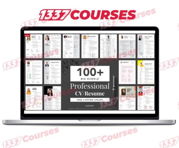Big Bundle Professional CV Resume