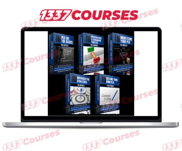 50 ‘PLR On PLR – From Beginner To Pro’ Articles