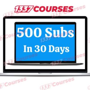 500 Subscribers In 30 Days