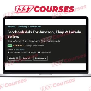 Facebook Ads For Amazon, Ebay & Lazada Sellers