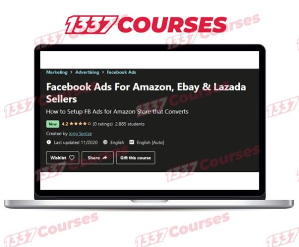 Facebook Ads For Amazon, Ebay & Lazada Sellers