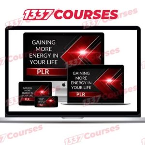 Gaining More Energy In Life PLR