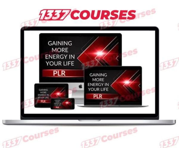 Gaining More Energy In Life PLR