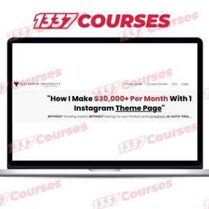 Niklas Pedde – Instagram University 4.0 – $30K/m With 1 Instagram Theme Page