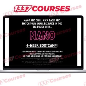 Ryan Lee – Nano Bootcamp