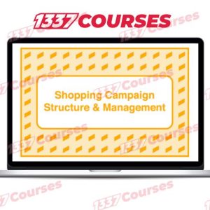 Take Some Risk – Shopping Campaign Structure and Management